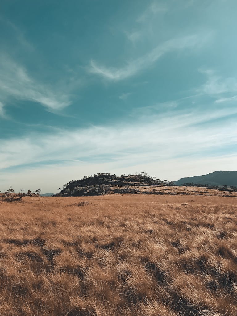 Serene countryside scene in Cruzília, Brazil with golden grasses and blue sky.