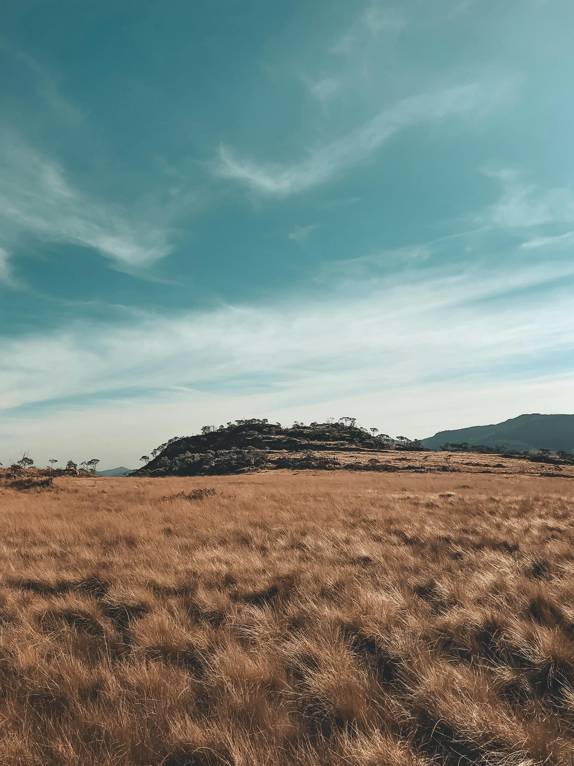 Serene countryside scene in Cruzília, Brazil with golden grasses and blue sky.